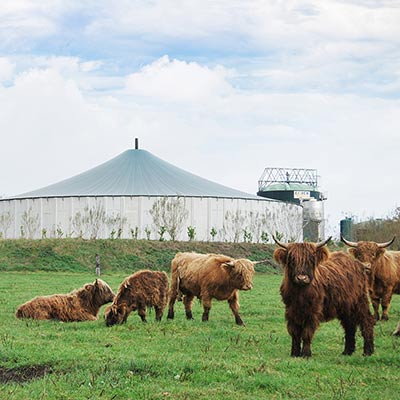 Abbildung der Biogasanlage in Dorsten